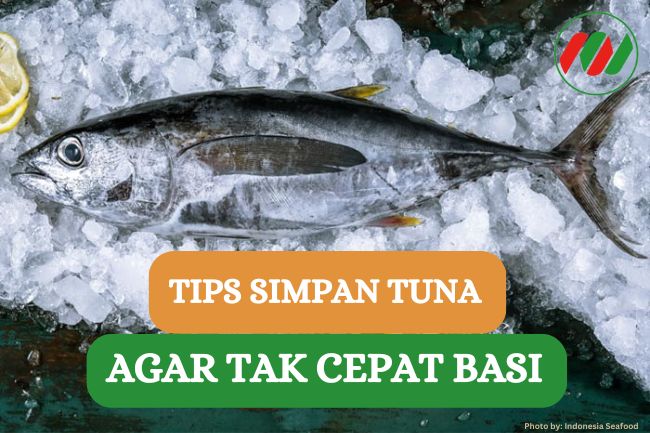 6 Tips Simpan Tuna Agar Tidak Cepat Basi